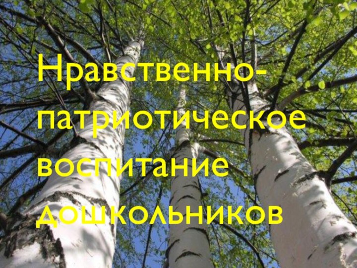 Нравственно- патриотическое воспитание дошкольниковНравственно-патриотическое воспитание дошкольников