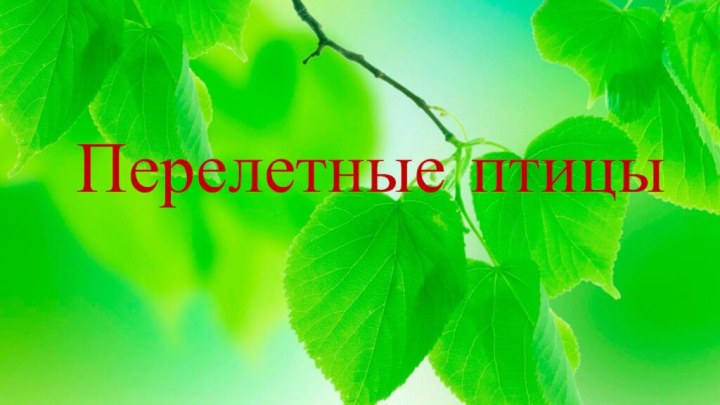 Перелетные птицы