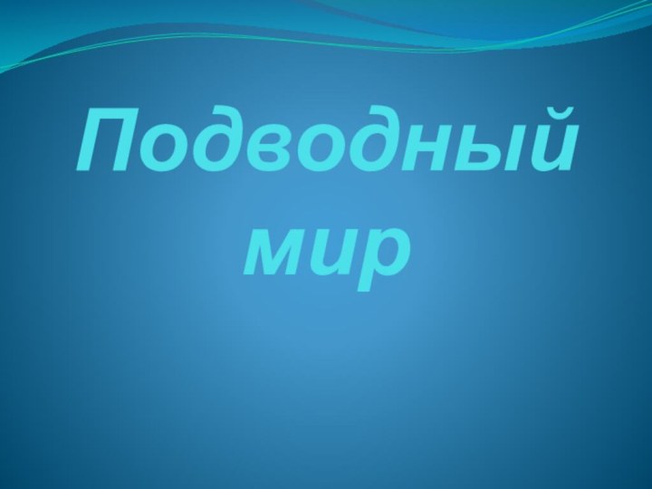 Подводный мир