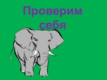 Проверочная работа по окружающему миру 3 класс презентация к уроку по окружающему миру (3 класс) по теме