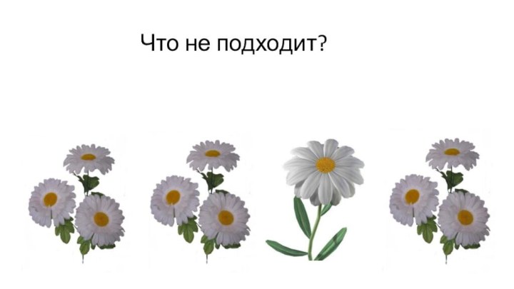 Что не подходит?