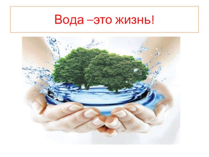 Вода –это жизнь!