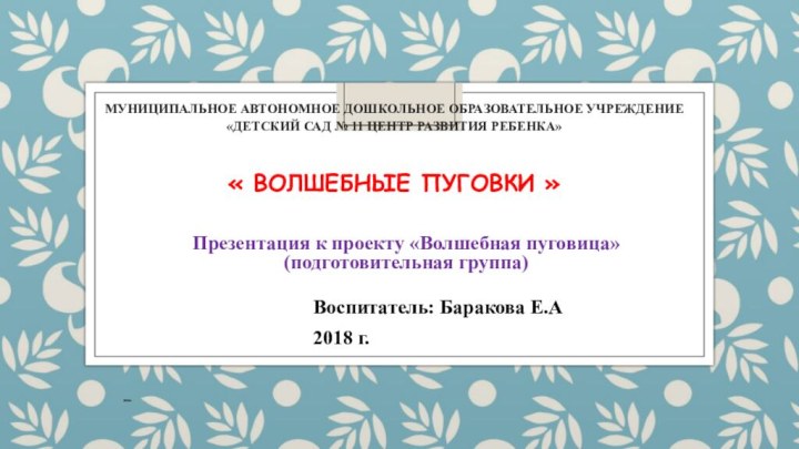 Муниципальное автономное дошкольное образовательное учреждение «Детский сад № 11