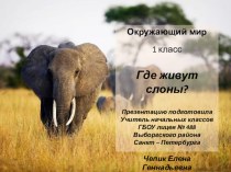 Где живут слоны? презентация к уроку по окружающему миру (1 класс)
