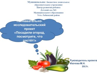 Познавательно- исследовательский проект Посадили огород, посмотрите, что растёт! презентация к уроку по окружающему миру (младшая группа)