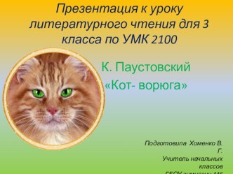 мини-презентация и конспект урока К.Паустовский Кот ворюга. презентация к уроку по чтению (3 класс)