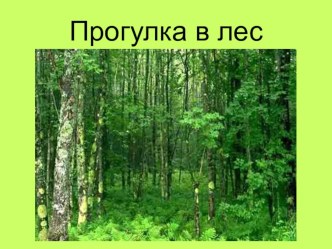 презентация Прогулка в лес презентация к уроку по окружающему миру