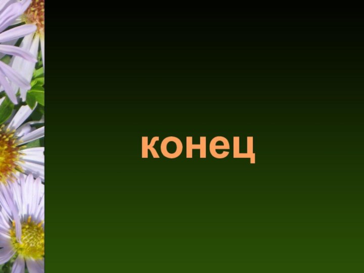 конец