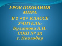 окружающий мир урок по темеЗвери (млекопитающие) план-конспект урока по окружающему миру (1 класс) по теме