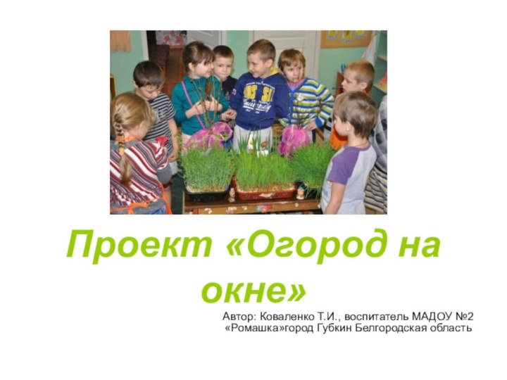 Проект «Огород на окне»Автор: Коваленко Т.И., воспитатель МАДОУ №2 «Ромашка»город Губкин Белгородская область