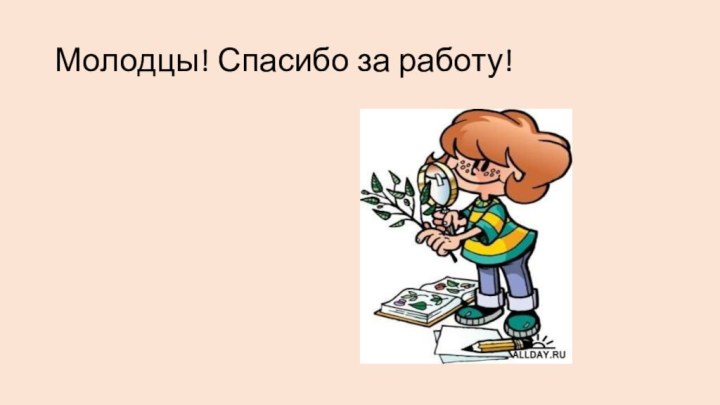 Молодцы! Спасибо за работу!