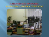 Презентация Окружающий мир Уголок природы в ДОУ презентация к уроку по окружающему миру (подготовительная группа)