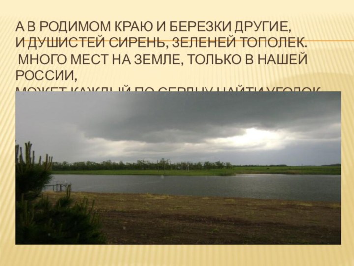 а в родимом краю и березки другие, и душистей сирень, зеленей тополек.