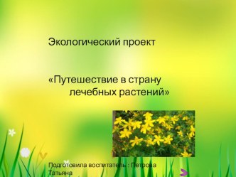 Экологический проектПутешествие в страну лечебных растений проект по окружающему миру (старшая, подготовительная группа)