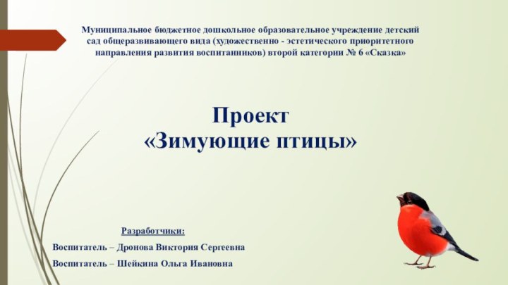 Муниципальное бюджетное дошкольное образовательное учреждение детский сад общеразвивающего вида (художественно - эстетического