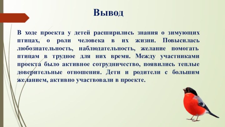 ВыводВ ходе проекта у детей расширились знания о зимующих птицах, о роли