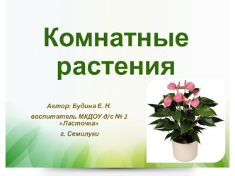 Презентация Комнатные растения презентация к уроку по окружающему миру (средняя, старшая группа)