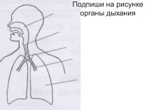 Урок по окружающему миру в 3 классе ВОЛШЕБНАЯ ВОСЬМЕРКА план-конспект урока (окружающий мир, 3 класс)