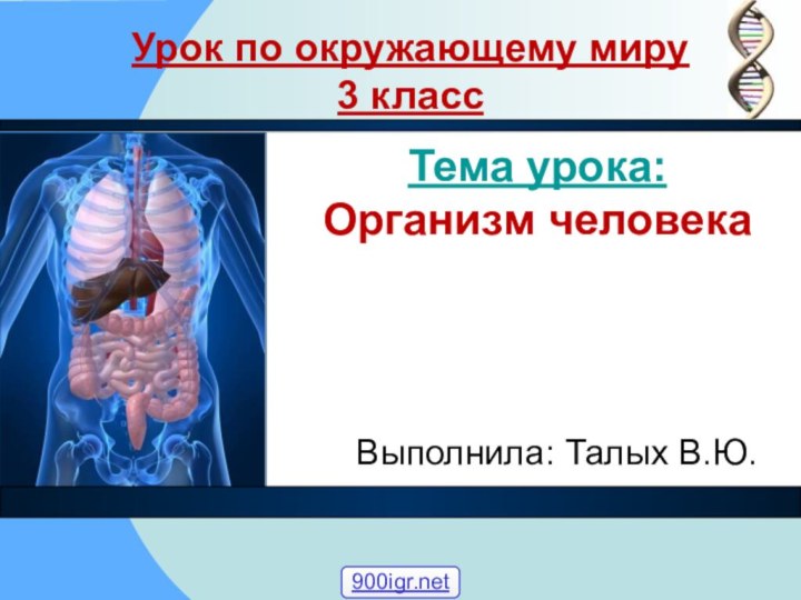 Урок по окружающему миру 3 классВыполнила: Талых В.Ю.Тема урока:  Организм человека