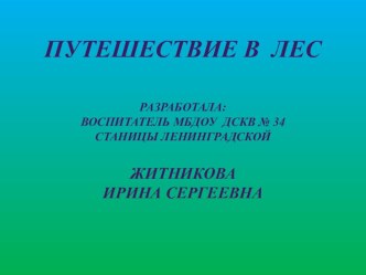 Конспект организованной образовательной деятельности по ФЭМП (старшая группа с ОНР) план-конспект занятия по математике (старшая группа)