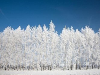 Методическая разработка урока по русскому языку по теме: Упражнения в распознавании типа склонения имен существительных, употребленных в косвенных падежах. для 4 класс план-конспект урока по русскому языку (4 класс)