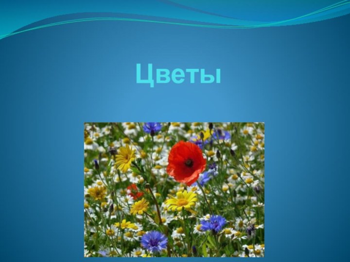 Цветы