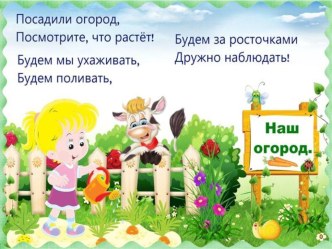 огород на окне презентация к уроку (подготовительная группа)