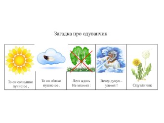 Разгадываем загадки с помощью мнемотаблиц методическая разработка по развитию речи (старшая, подготовительная группа)