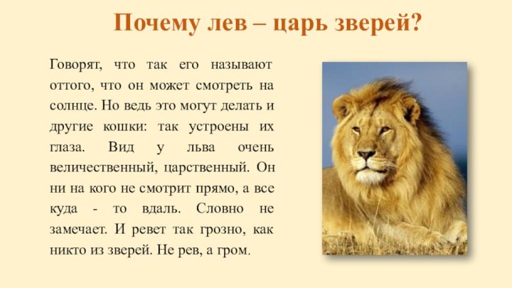 Почему лев – царь зверей?Говорят, что так его называют оттого, что он