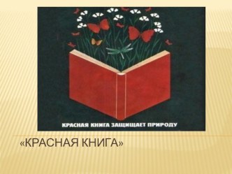 Полевые и садовые цветы презентация к уроку по развитию речи (подготовительная группа) по теме