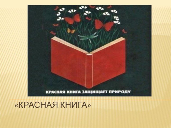 «Красная книга»