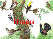 обучающая презентация Перелетные птицы презентация к уроку по окружающему миру (подготовительная группа)