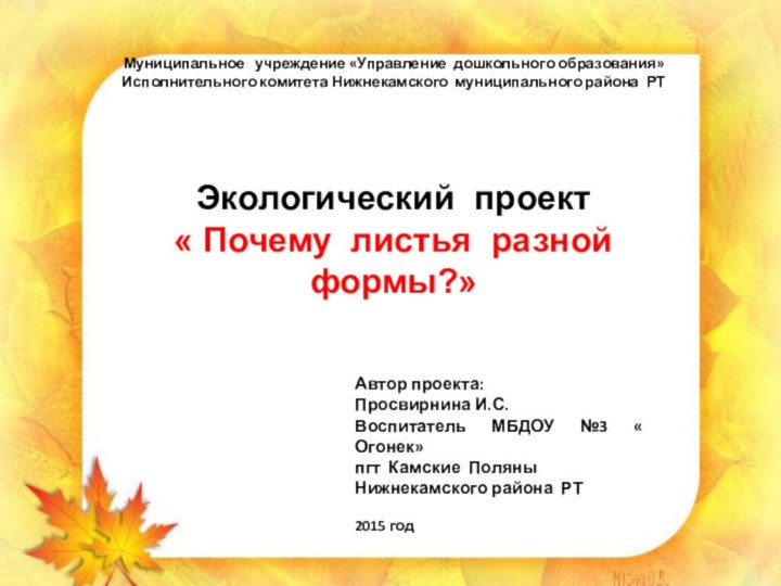 Муниципальное  учреждение «Управление дошкольного образования»Исполнительного комитета Нижнекамского муниципального района РТЭкологический проект«