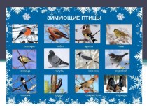 Презентация Зимующие птицы презентация к уроку по окружающему миру (подготовительная группа)