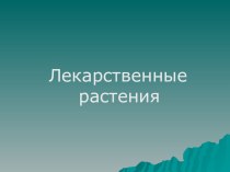 Развивать познавательную активность детей в процессе формирования представлений    о лекарственных растениях;