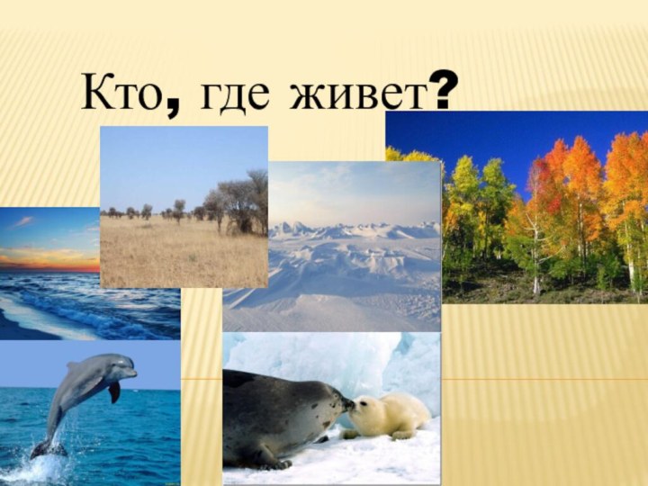 Кто, где живет?