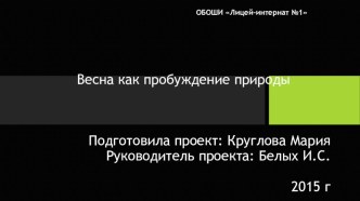 Презентация Весна как пробуждение природы презентация к уроку по чтению (4 класс)