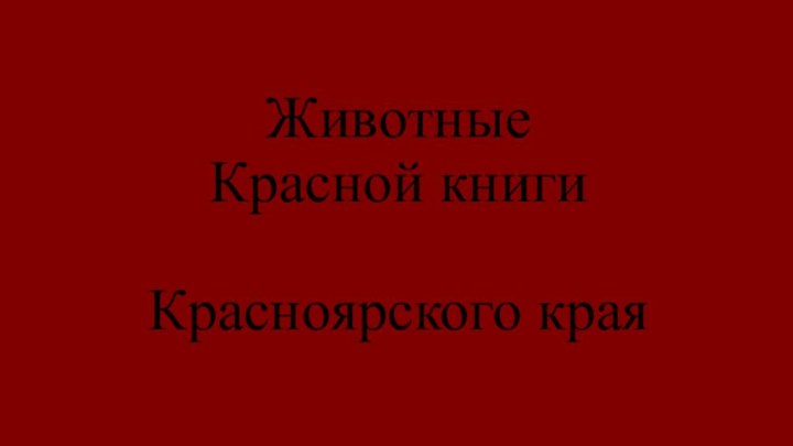 Животные Красной книги  Красноярского края