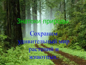 Презентация Знатоки природы презентация к уроку по окружающему миру (3 класс) по теме