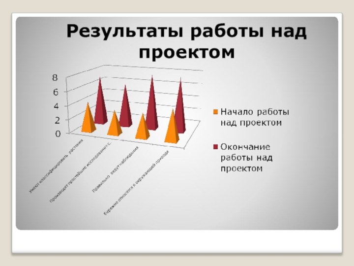 Результаты работы над проектом