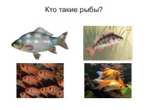Презентация Кто такие рыбы презентация к уроку по окружающему миру по теме