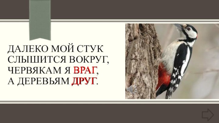 Далеко мой стук Слышится вокруг, Червякам я враг, А деревьям друг. ВРАГДРУГ