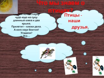 Что мы знаем о птицах презентация к уроку по окружающему миру (1 класс)