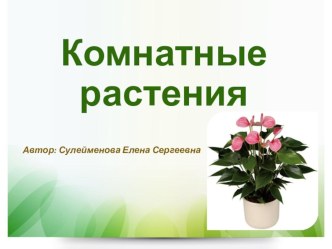 презентация Комнатные растения презентация к уроку по окружающему миру (средняя группа)