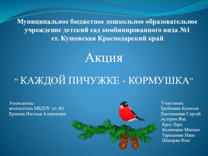 Муниципальное бюджетное дошкольное образовательное учреждение детский сад комбинированного вида №1  ст.