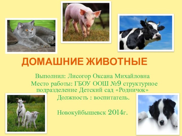 Домашние животныеВыполнил: Лисогор Оксана Михайловна Место работы: ГБОУ ООШ №9 структурное подразделение