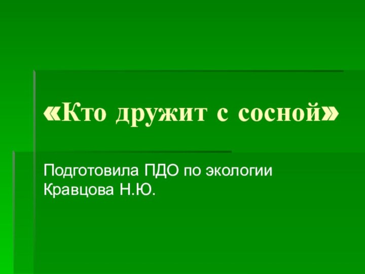 «Кто дружит с сосной»Подготовила ПДО по экологии Кравцова Н.Ю.