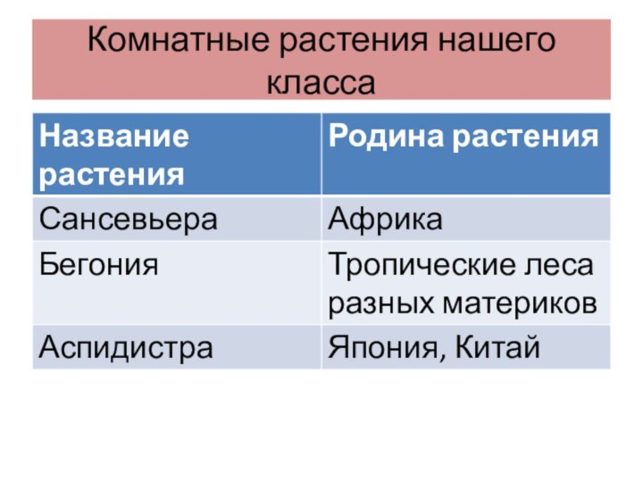 Комнатные растения нашего класса