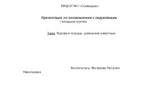 Презентация Домашние животные презентация к уроку по окружающему миру (средняя группа)