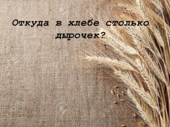 Презентация Откуда в хлебе столько дырочек презентация к уроку по окружающему миру (3 класс)